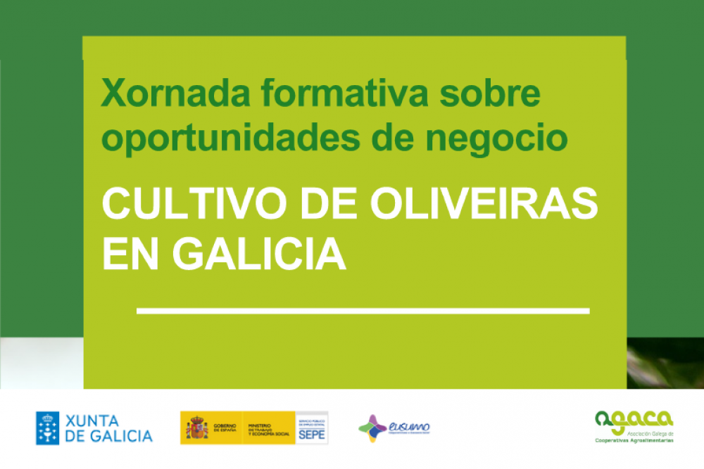 Xornada formativa sobre oportunidades de negocio: cultivo de oliveiras en Galicia