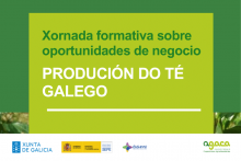 Xornada formativa sobre oportunidades de negocio: produción do té galego