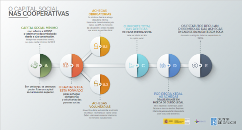  O capital social nas cooperativas