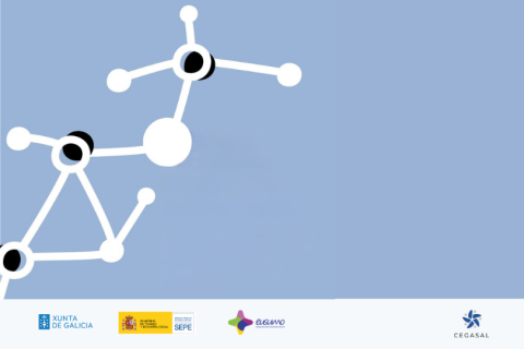 As sinerxías nos sectores específicos da economía social