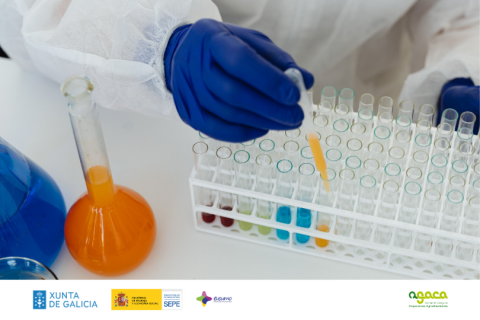 Biofertilizantes e bioestimulantes: innovación e sostebilidade para o agro galego