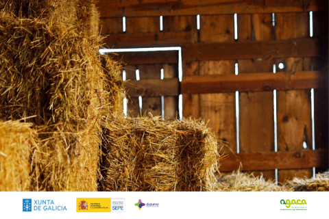 Dixitalización nas cooperativas gandeiras