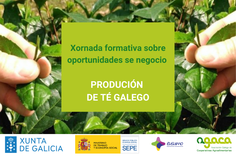 Xornada | Produción Do Té Galego