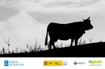 Xornada | O SIGE cooperativo
