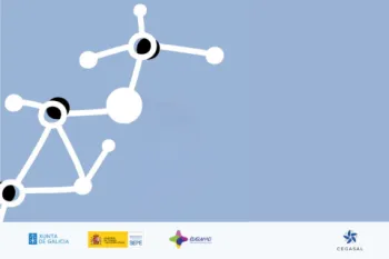 As sinerxías nos sectores específicos da economía social