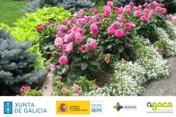 Xornada | Cultivo de Flor en Galicia