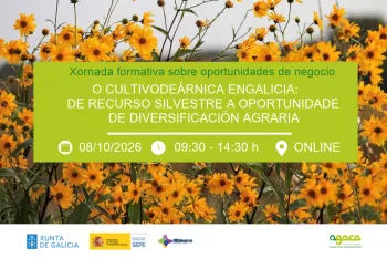cultivo árnica agaca