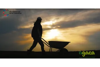 Cooperar é Galicia. Ano Internacional das Cooperativas 2025 - AGACA