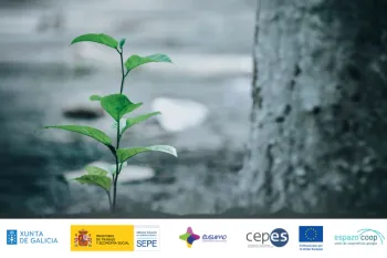 Desenvolvendo a idea cooperativa | Programa Coopera Rural