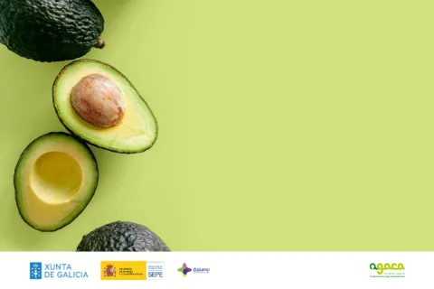 Produción de aguacate